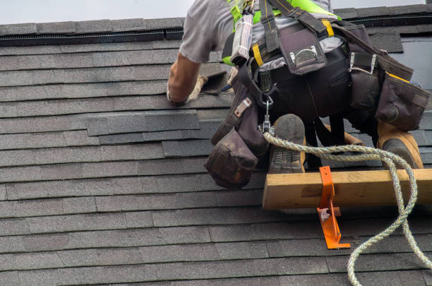 Trusted Sidney, IL Roofing Services Experts